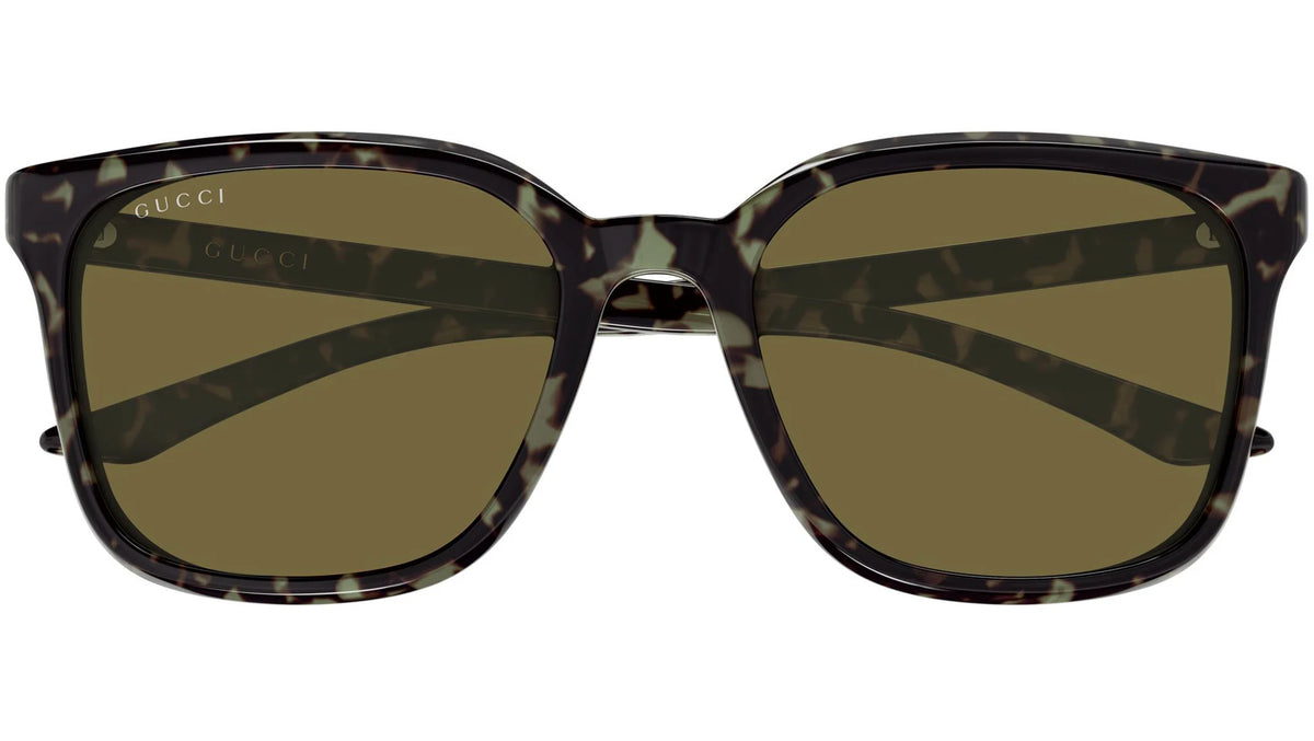 Gucci 2080SK Havana Brown GG2080SK003 (55)