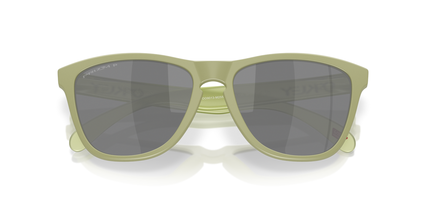 Oakley Frogskins Polarised Matte Fern Prizm Black (9013 M2)