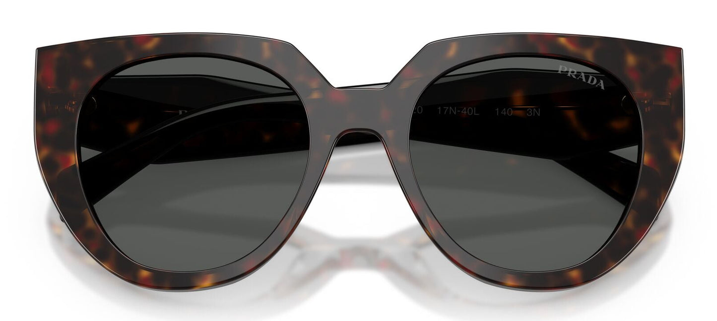Prada 14WS Root Tortoise Dark Grey (14WS 17N40L)
