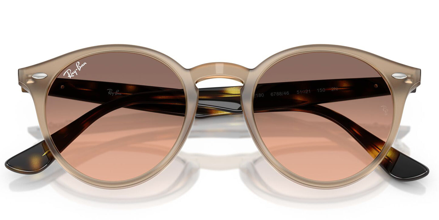 Ray-Ban 2180 Turtledove Pink Grey Gradient RB2180 678846 (49)