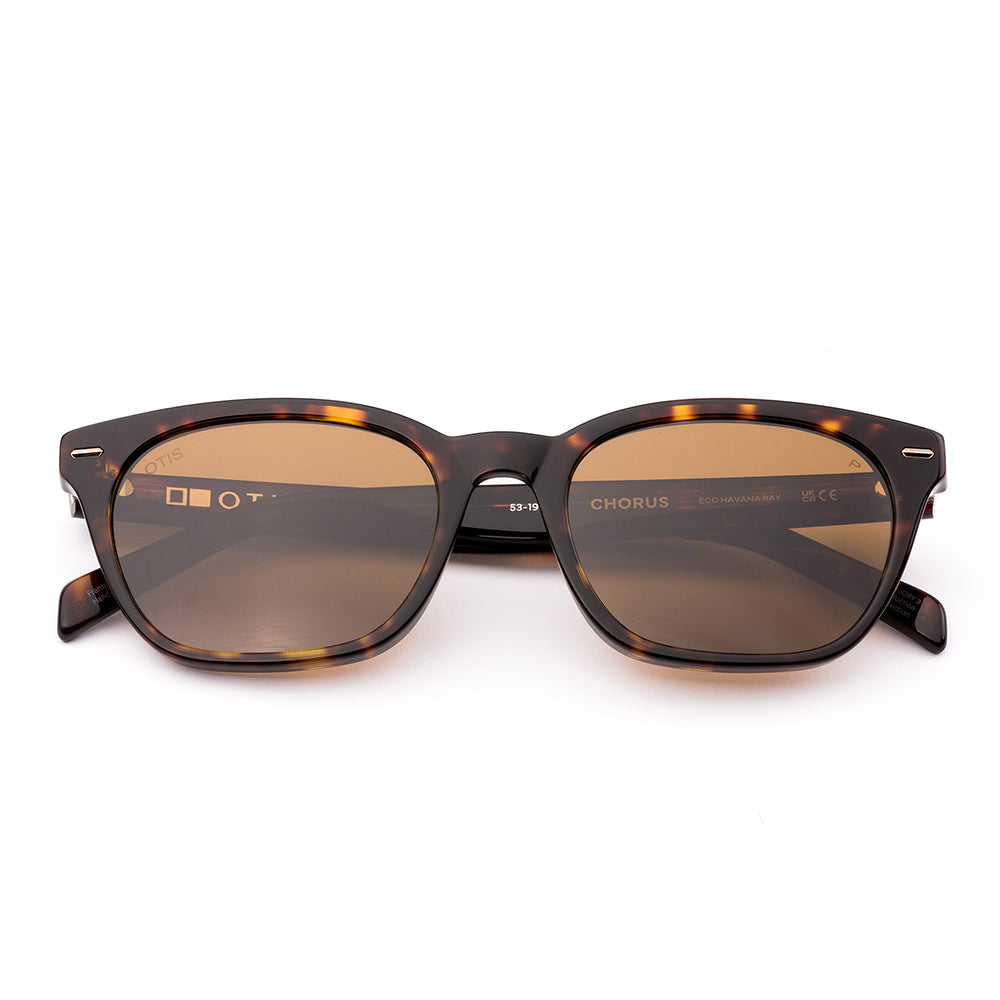 Otis Chorus Polarised Eco Havana Ray Brown 210-2605P (53)