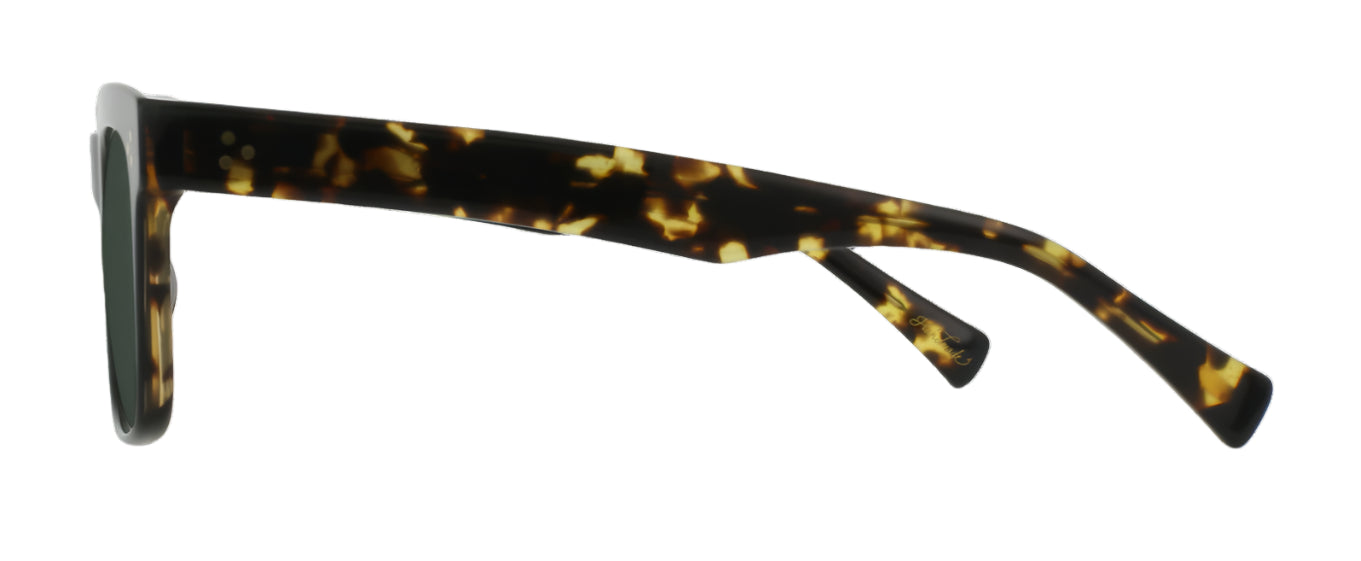 Raen Breven Eclipse+Shasta Tortoise Green Polarised (Breven 03)