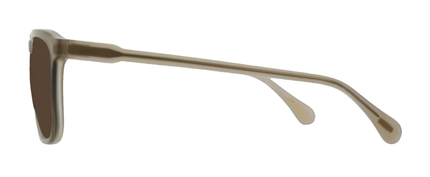 Raen Wiley (56) Eden Vibrant Brown Polarised (Wiley 11)