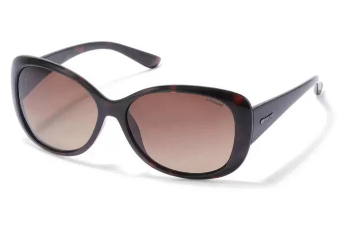 Polaroid 8317 Polarised Havana Brown Gradient (8317 0BM)