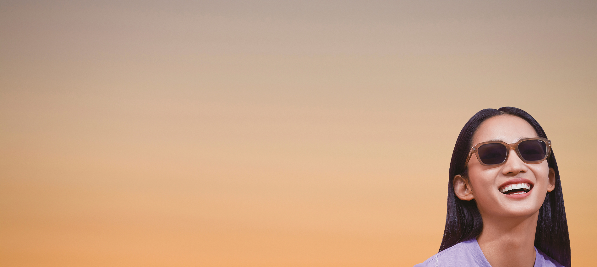 Women's Polaroid Sunglasses