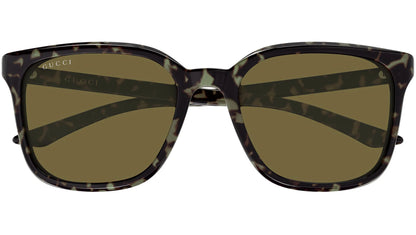 Gucci 2080SK Havana Brown GG2080SK003 (55)
