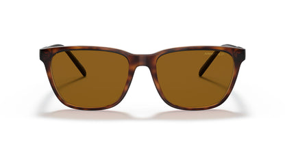 Arnette Cortex Polarised Dark Avana Brown (4291 277083)