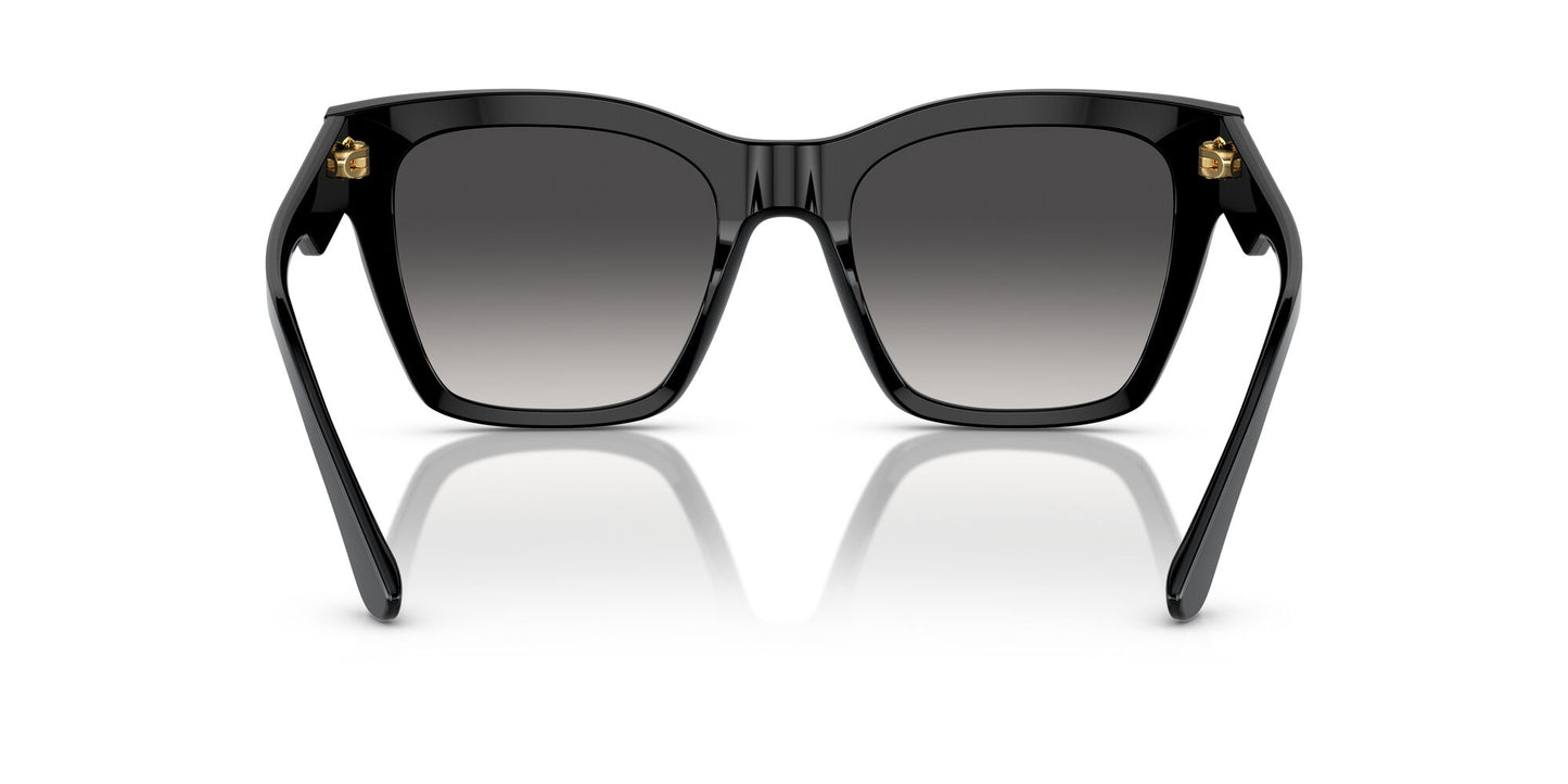 Dolce & Gabbana 4384 Black Grey Gradient (4384 501/8G)
