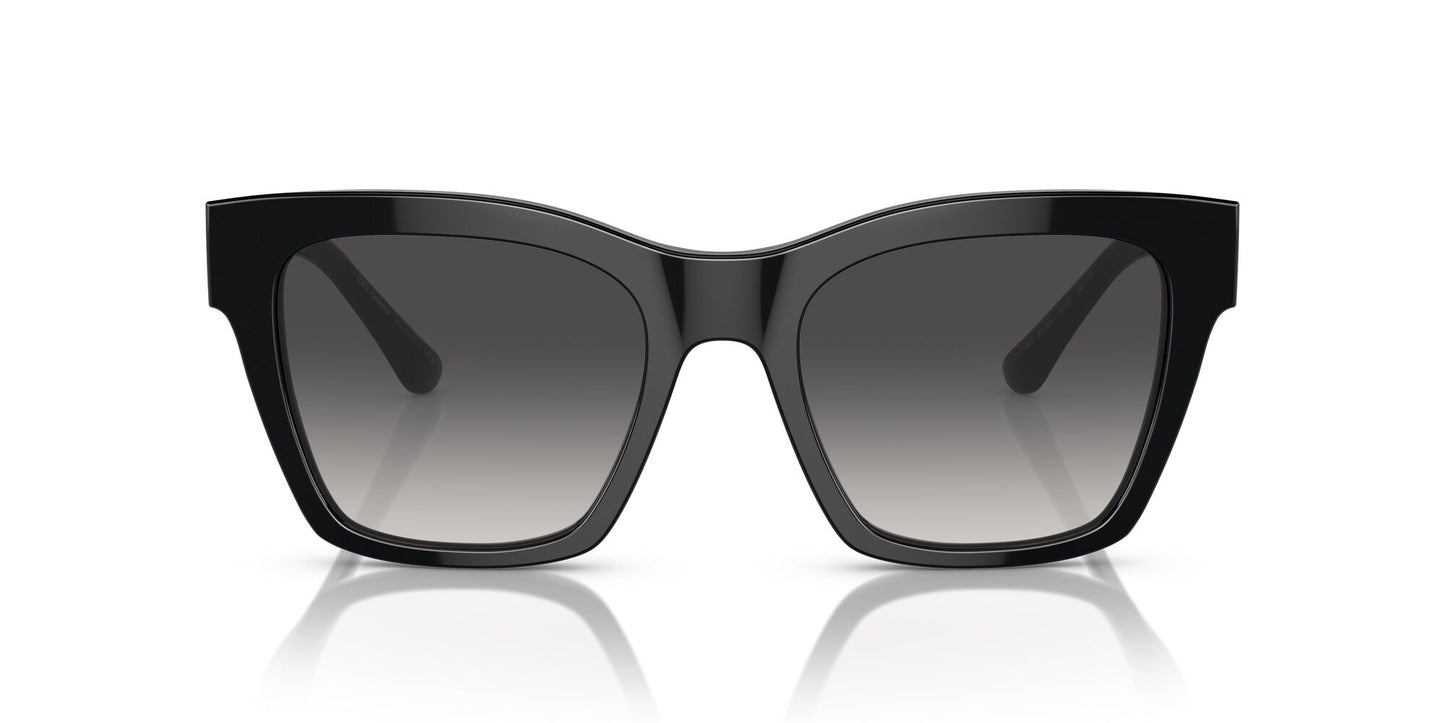 Dolce & Gabbana 4384 Black Grey Gradient (4384 501/8G)
