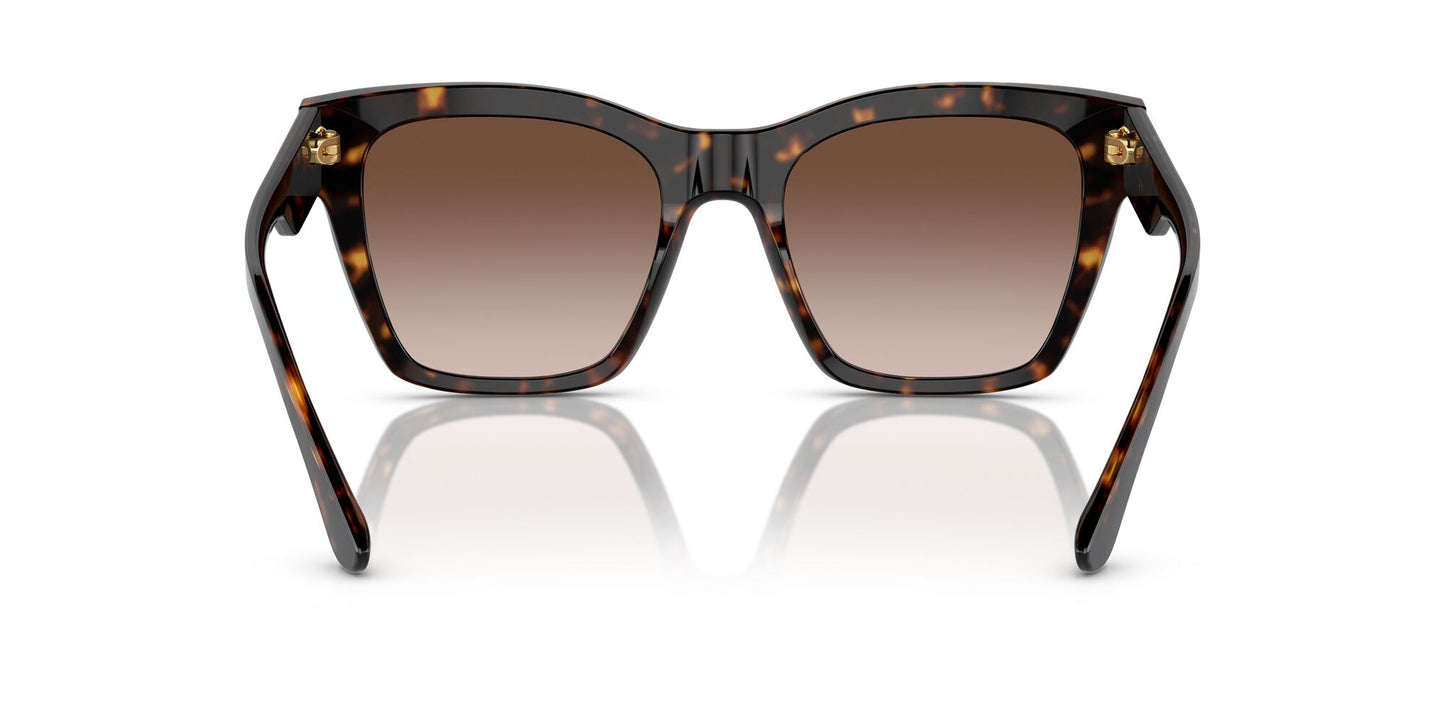 Dolce & Gabbana 4384 Havana Brown Gradient (4384 502/13)