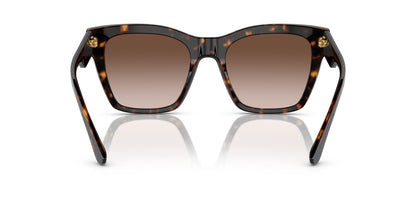 Dolce & Gabbana 4384 Havana Brown Gradient (4384 502/13)