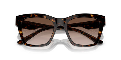 Dolce & Gabbana 4384 Havana Brown Gradient (4384 502/13)