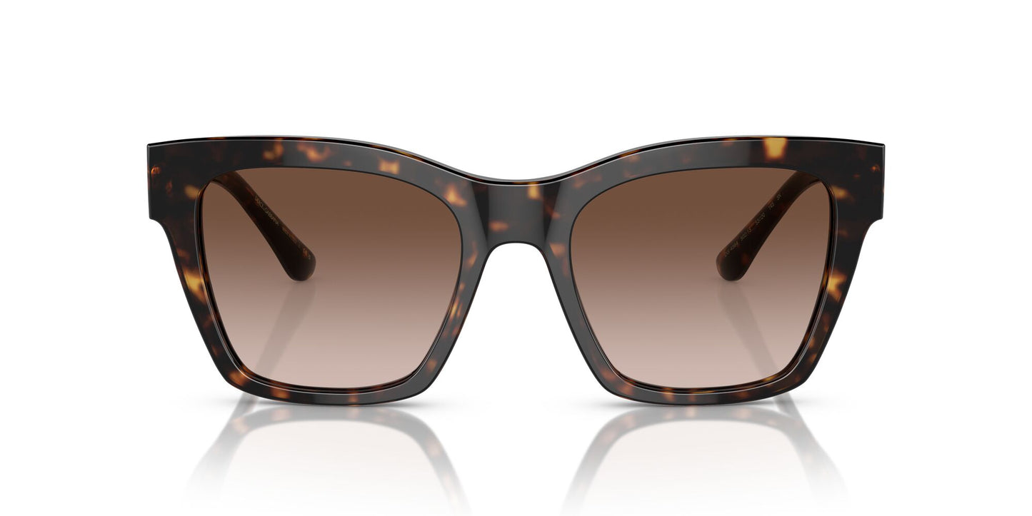 Dolce & Gabbana 4384 Havana Brown Gradient (4384 502/13)