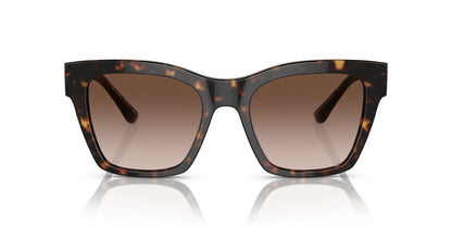 Dolce & Gabbana 4384 Havana Brown Gradient (4384 502/13)