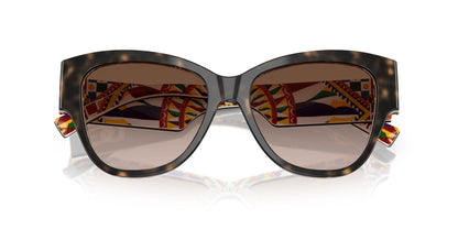 Dolce & Gabbana 4449 Havana on White Barrow Brown Gradient (4449 321713)