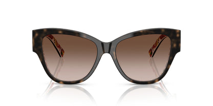 Dolce & Gabbana 4449 Havana on White Barrow Brown Gradient (4449 321713)