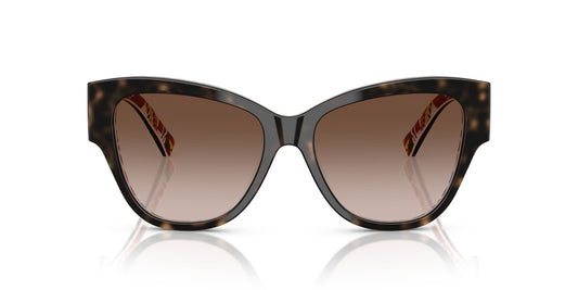 Dolce & Gabbana 4449 Havana on White Barrow Brown Gradient (4449 321713)