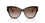 Dolce & Gabbana 4449 Havana on White Barrow Brown Gradient (4449 321713)