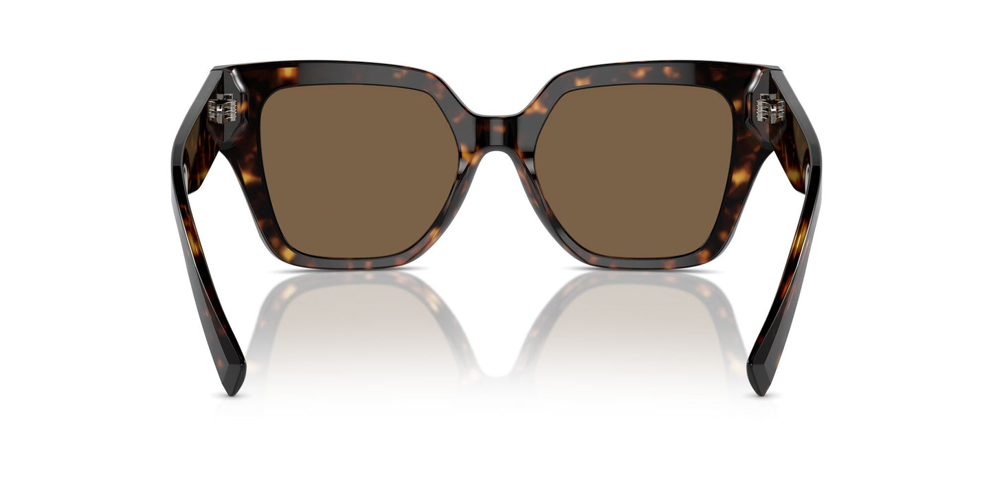 Dolce & Gabbana 4471 Havana Dark Brown (4471 502/73)