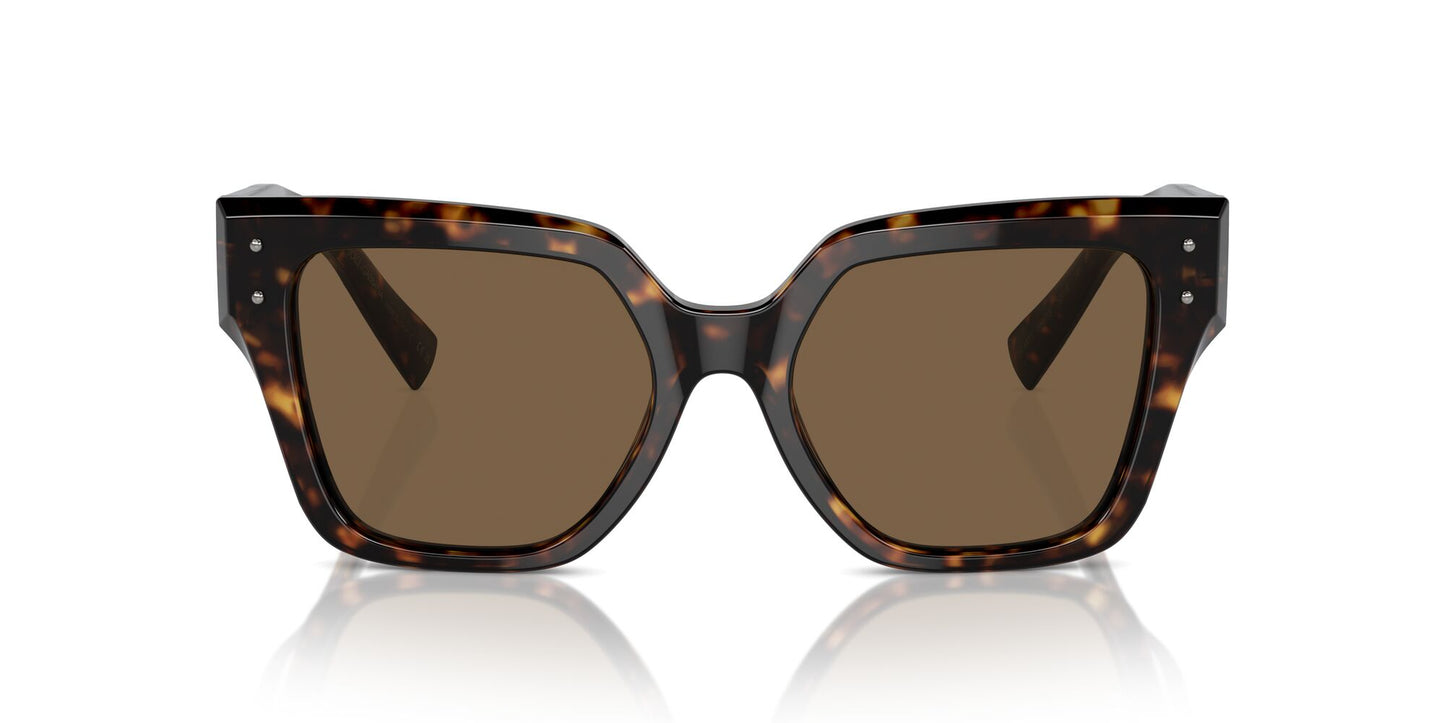 Dolce & Gabbana 4471 Havana Dark Brown (4471 502/73)