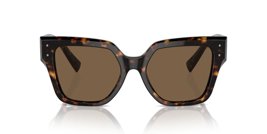 Dolce & Gabbana 4471 Havana Dark Brown (4471 502/73)