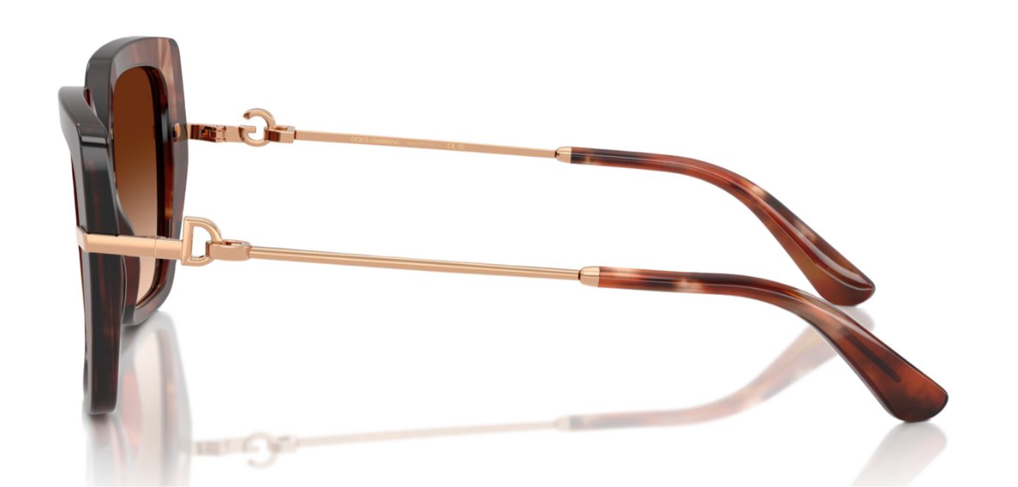Dolce & Gabbana 4474 Havana Brown Gradient (4474 322274)