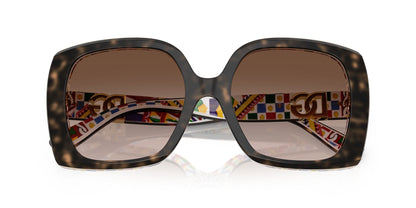 Dolce & Gabbana 4475 Havana on White Barrow Brown Gradient (4475 321713)