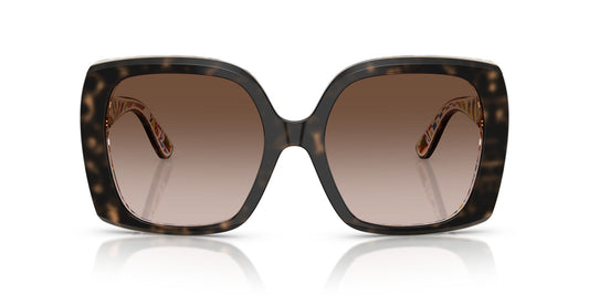 Dolce & Gabbana 4475 Havana on White Barrow Brown Gradient (4475 321713)