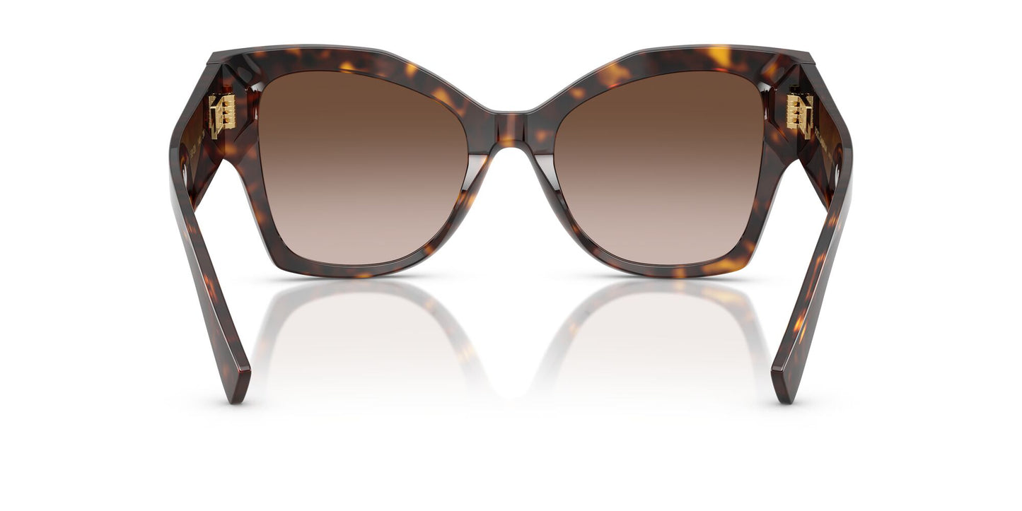 Dolce & Gabbana 4478 Havana Brown Gradient (4478 502/13)