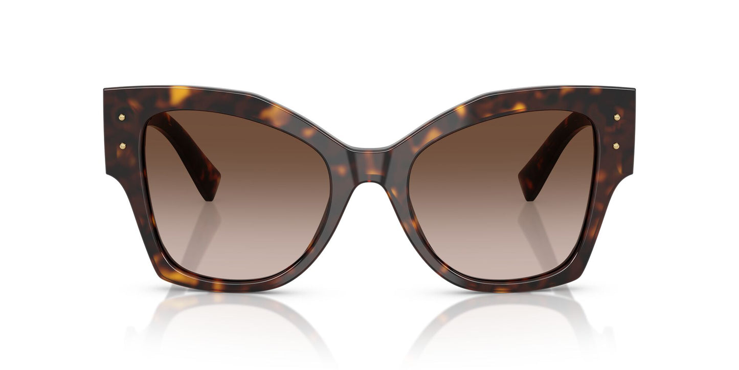 Dolce & Gabbana 4478 Havana Brown Gradient (4478 502/13)