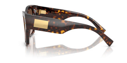 Dolce & Gabbana 4478 Havana Brown Gradient (4478 502/13)