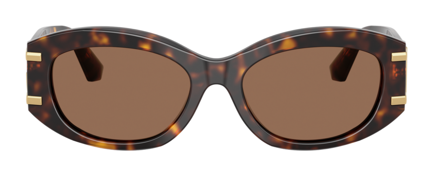 Dolce & Gabbana 4502 Havana Dark Brown (4502 502/73)