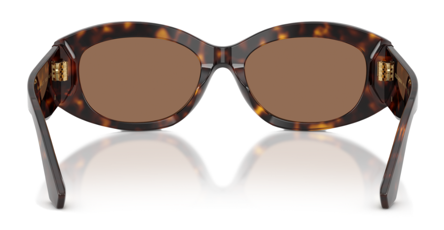 Dolce & Gabbana 4502 Havana Dark Brown (4502 502/73)