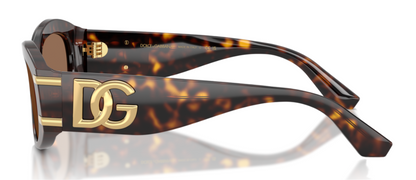 Dolce & Gabbana 4502 Havana Dark Brown (4502 502/73)