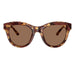Dolce & Gabbana 4518 Havana Pearl Brown Dark Brown DG4518 346273 (52)