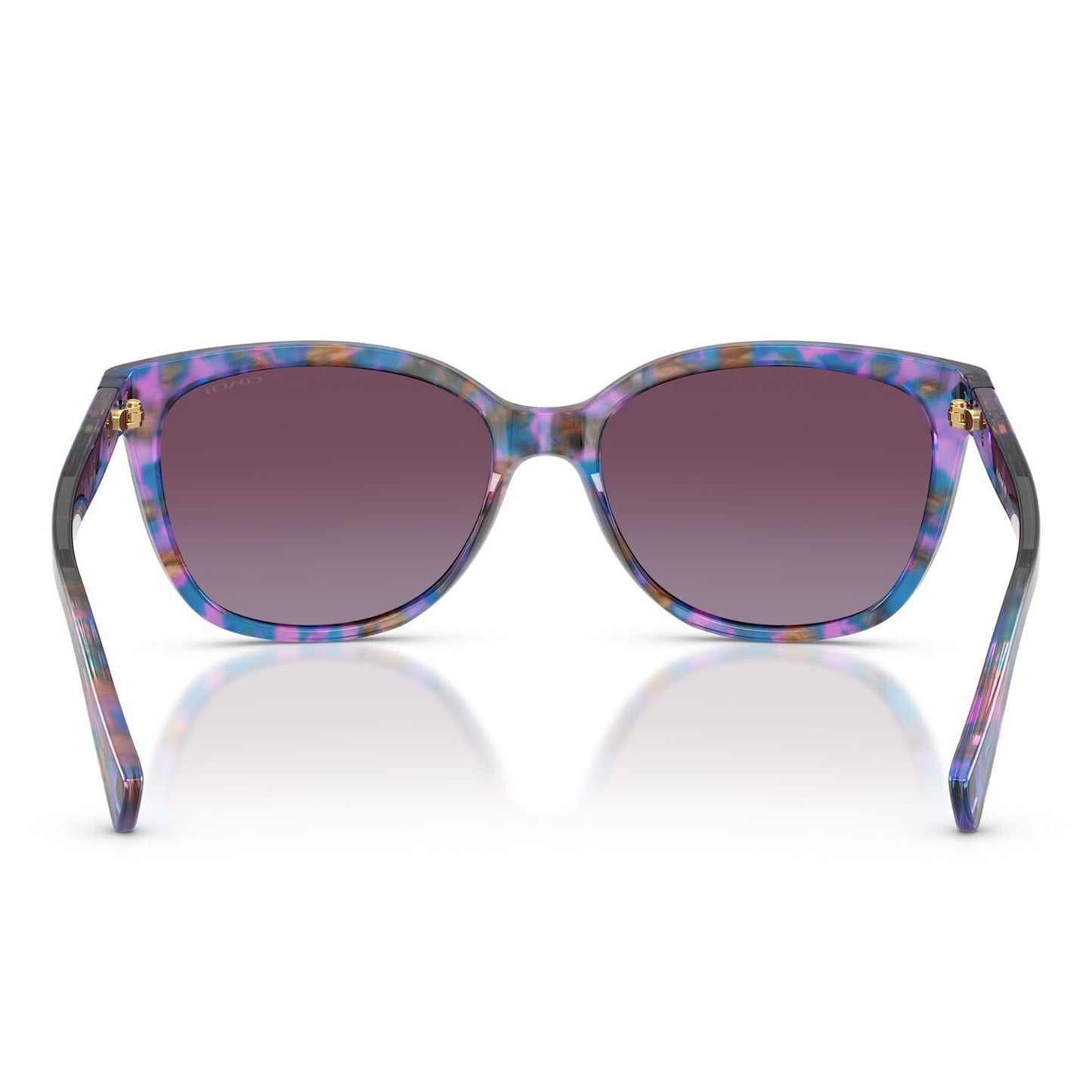 Coach L109 Purple Confetti Tortoise Purple Gradient HC8132 52888H (57)