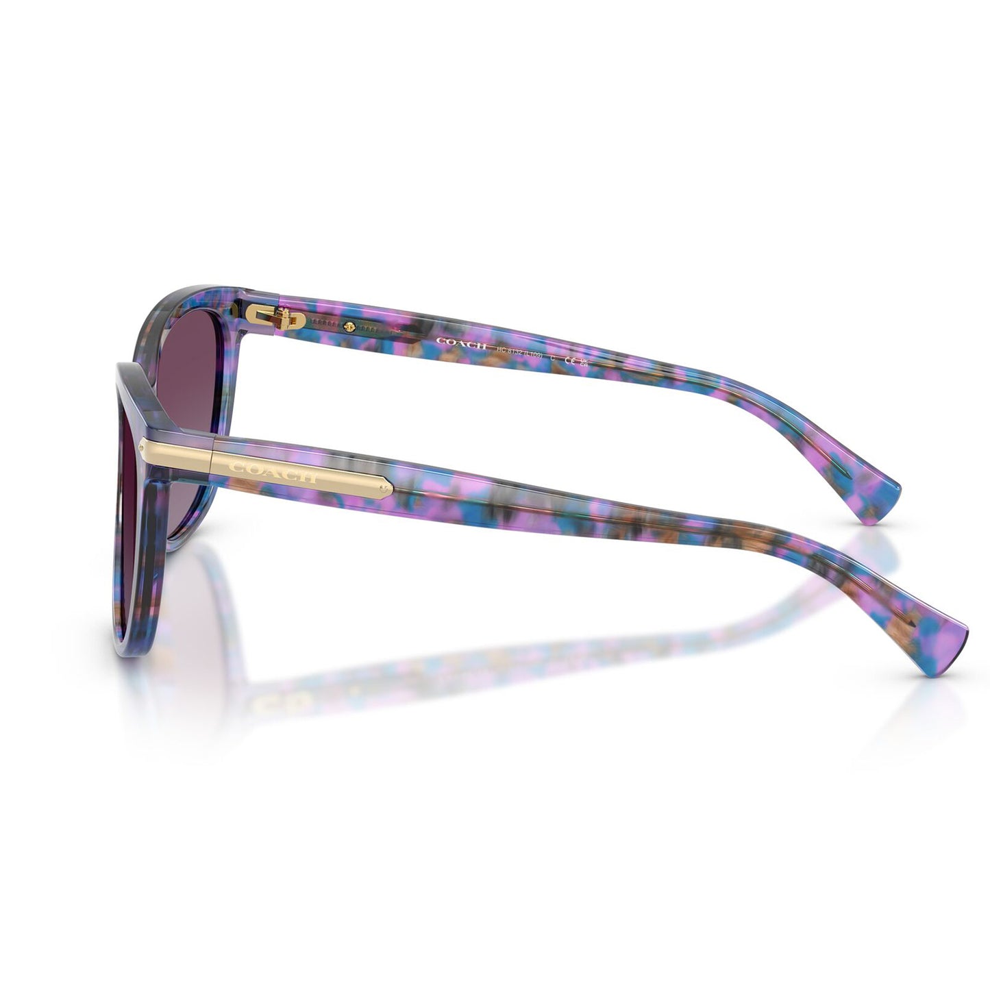 Coach L109 Purple Confetti Tortoise Purple Gradient HC8132 52888H (57)