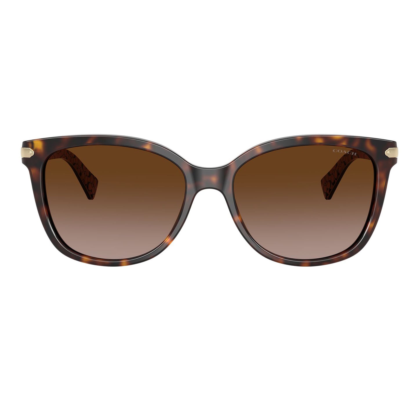 Coach L109 Dark Tortoise Dark Brown Gradient HC8132 529113 (57)