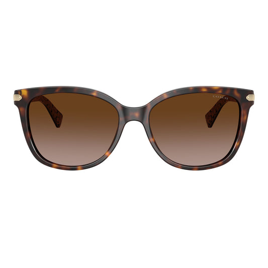 Coach L109 Dark Tortoise Dark Brown Gradient HC8132 529113 (57)