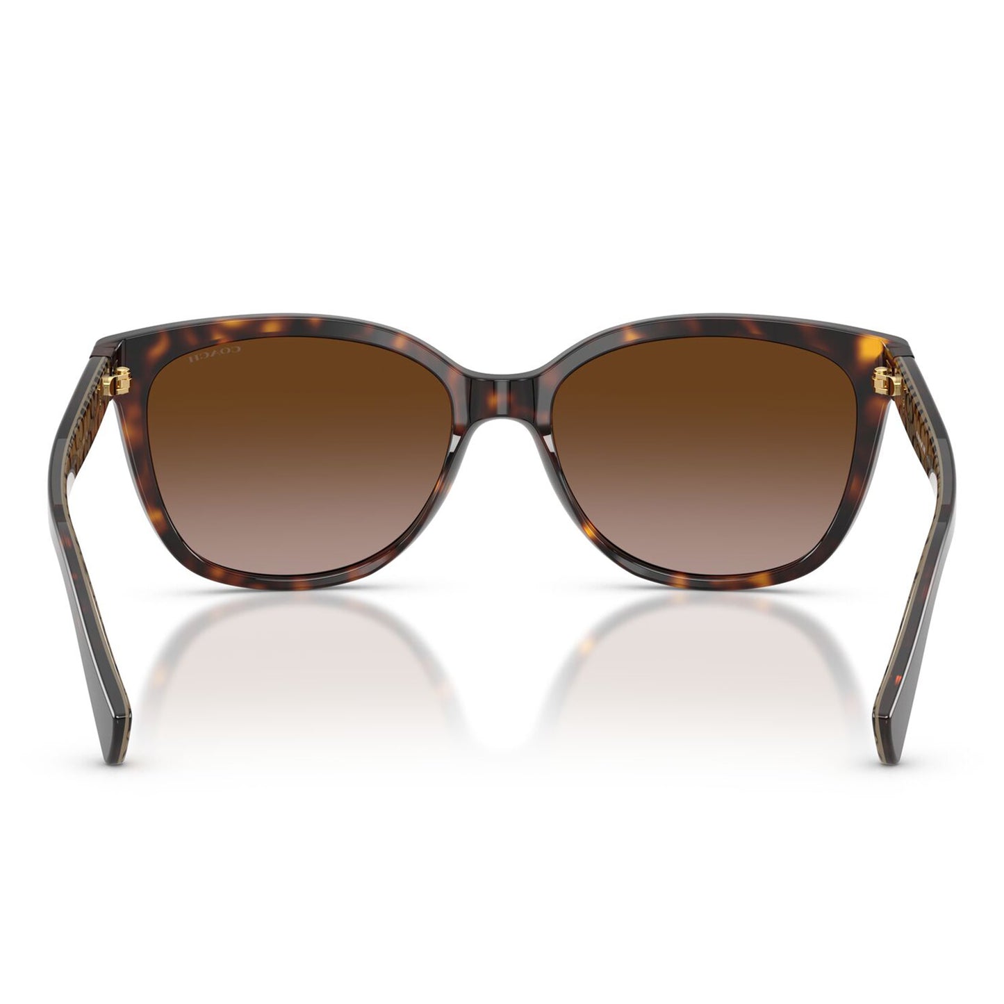 Coach L109 Dark Tortoise Dark Brown Gradient HC8132 529113 (57)