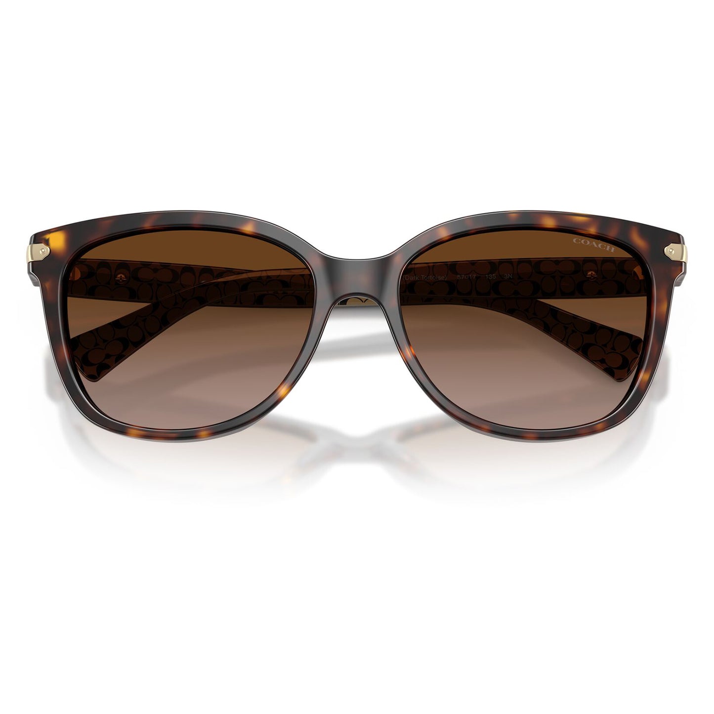 Coach L109 Dark Tortoise Dark Brown Gradient HC8132 529113 (57)