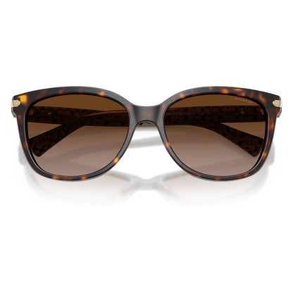 Coach L109 Dark Tortoise Dark Brown Gradient HC8132 529113 (57)