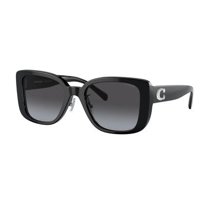 Coach CD472 Black Grey Gradient HC8352 50028G (54)