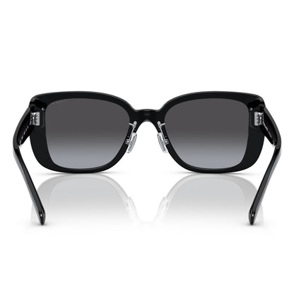 Coach CD472 Black Grey Gradient HC8352 50028G (54)