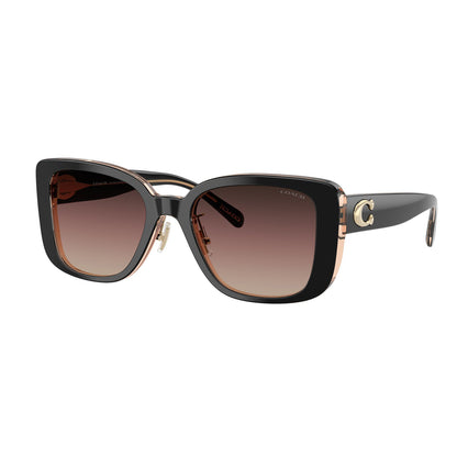 Coach CD472 Black/Blush Brown Purple Gradient HC8352 5781E2 (54)