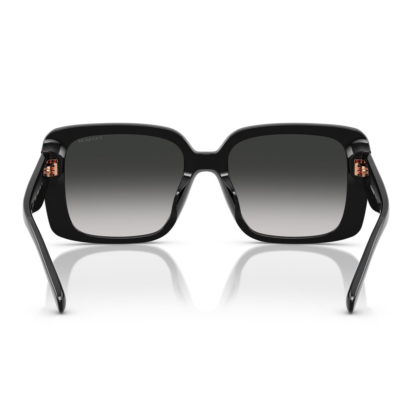 Coach CAD54 Black Grey Gradient HC8424U 50023C (54)