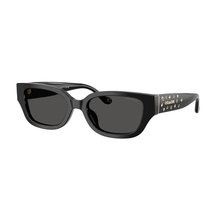 Coach CBZ52 Black Grey HC8439U 500287 (53)