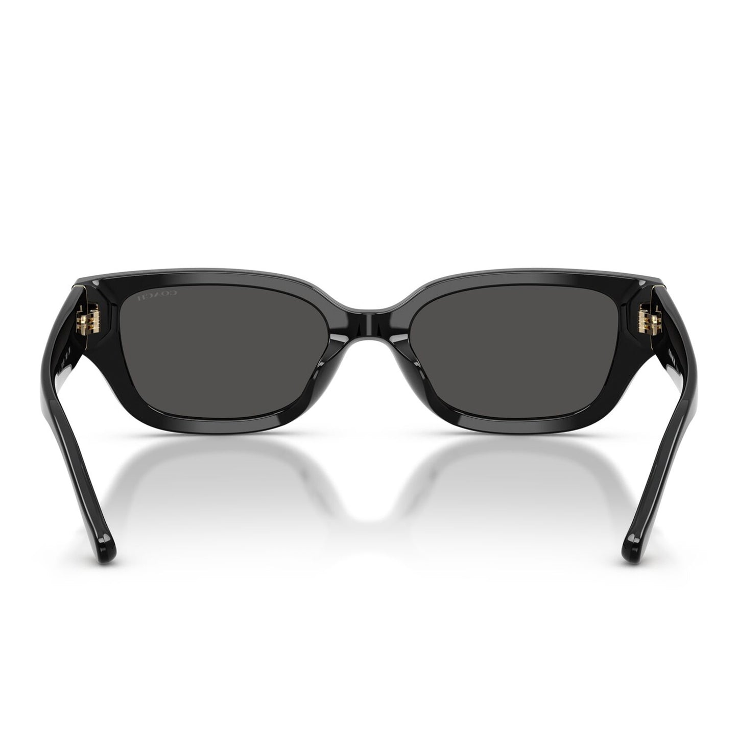 Coach CBZ52 Black Grey HC8439U 500287 (53)