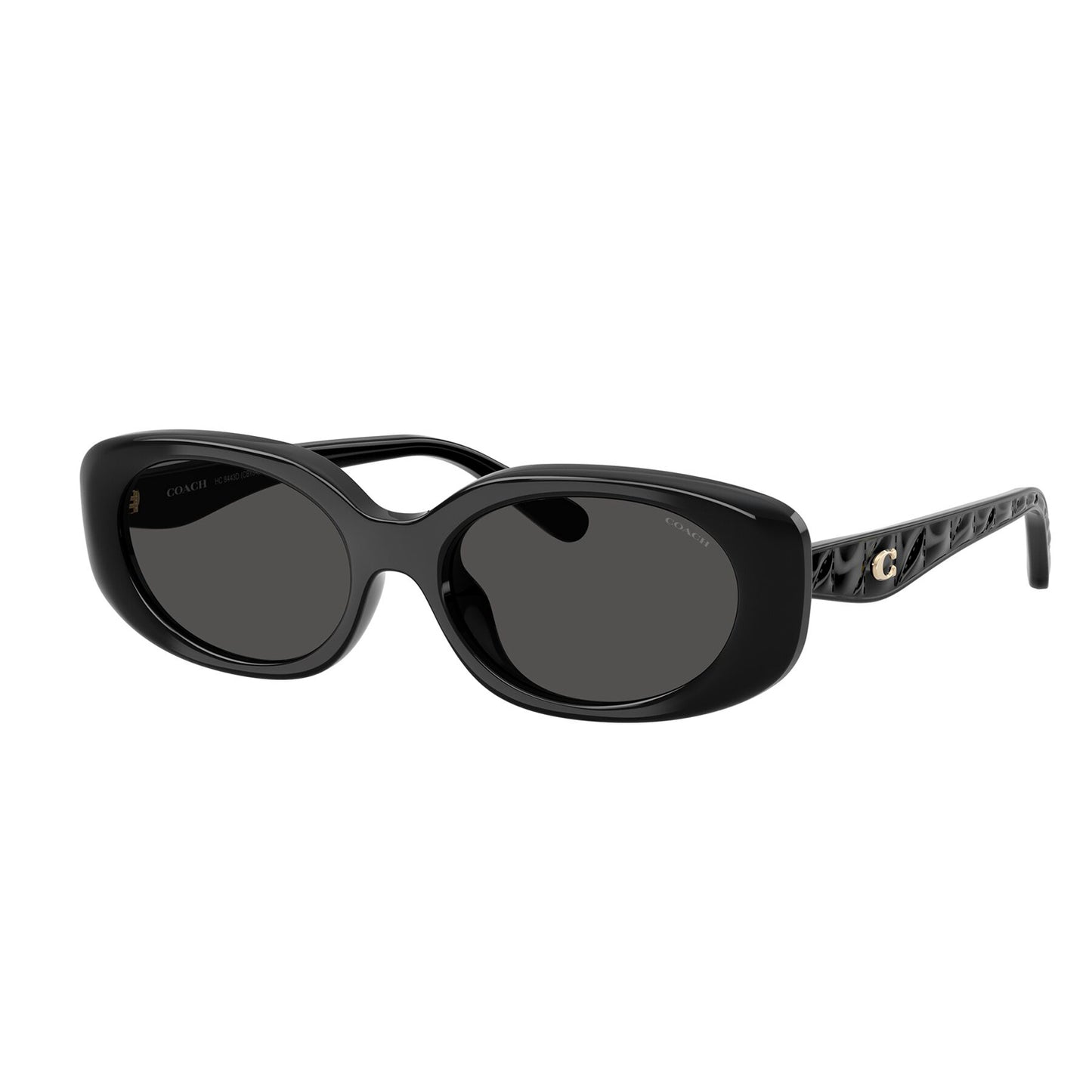 Coach CBY84 Black Grey HC8443D 500287 (54)