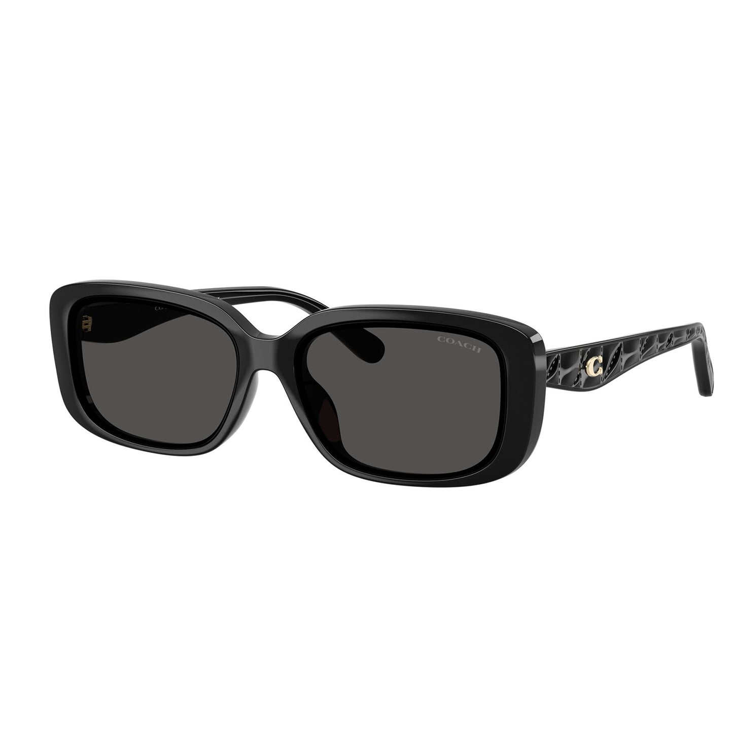 Coach CBY86 Black Grey HC8444D 500287 (57)